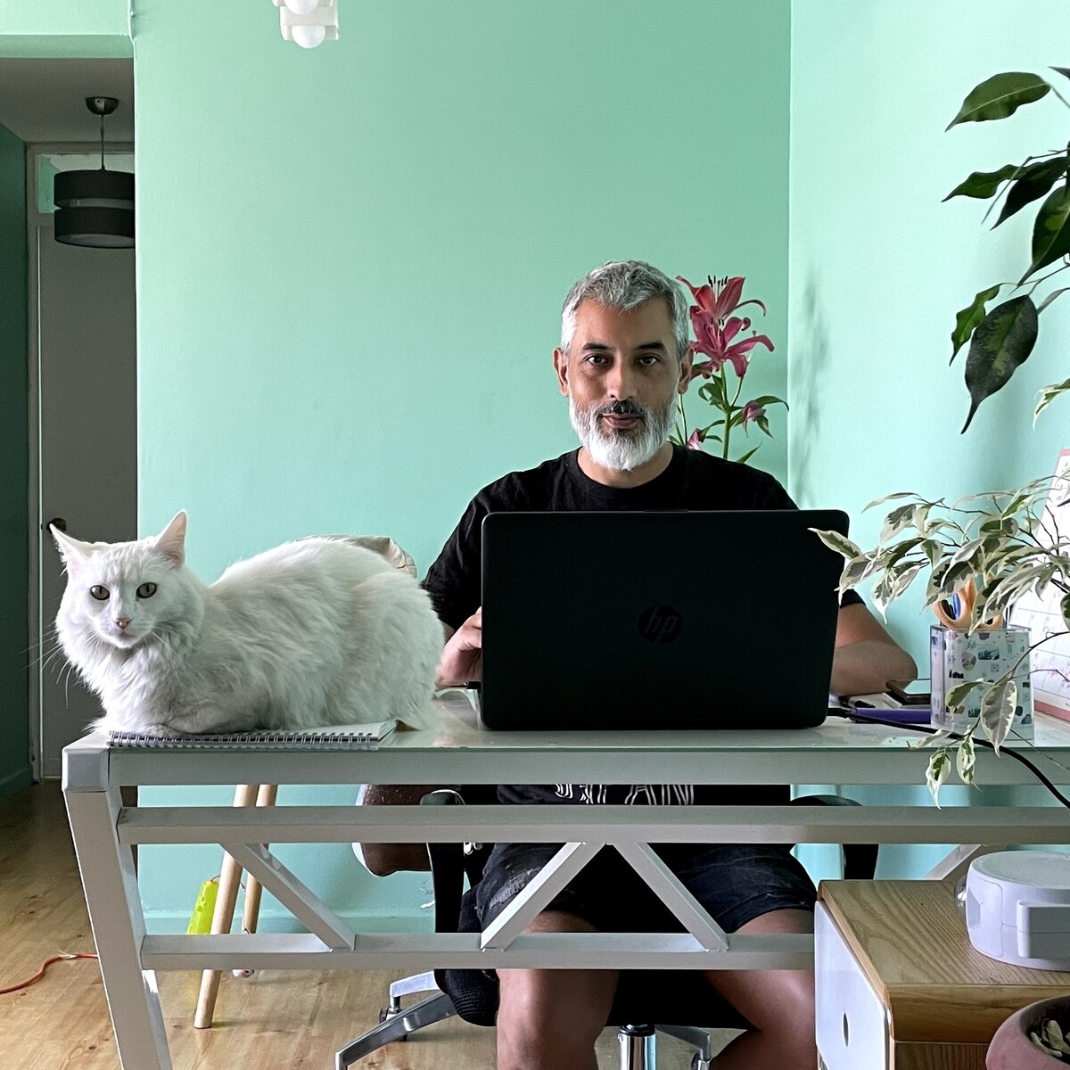 Jaime Troncoso servicios